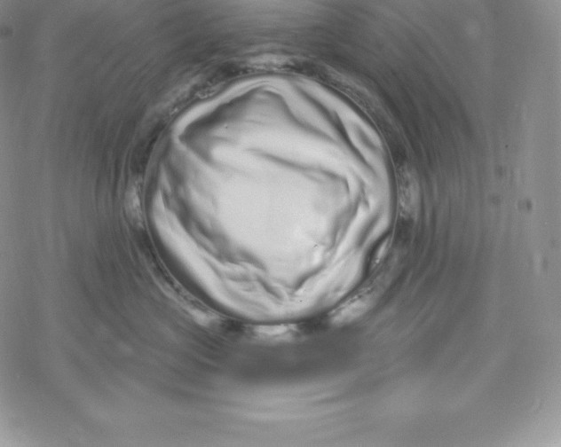 X0000078250573200611251306