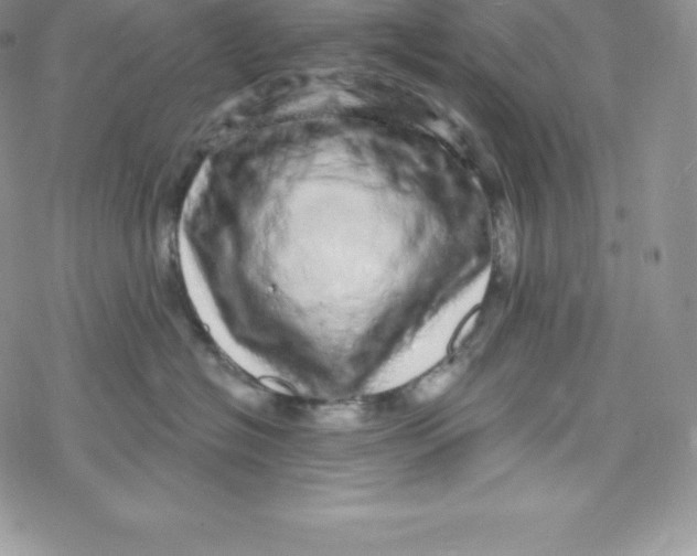 X0000078250574200611251306