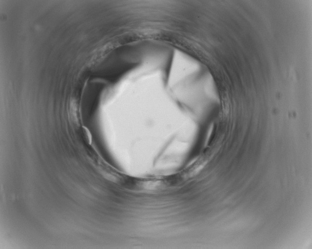 X0000078250575200611251307
