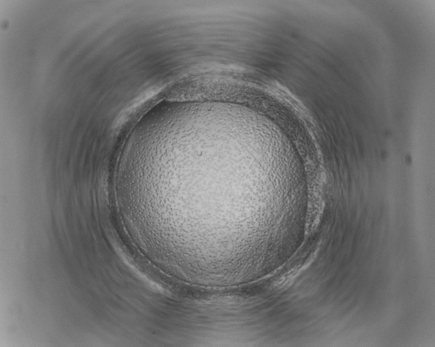 X0000078250581200611251306