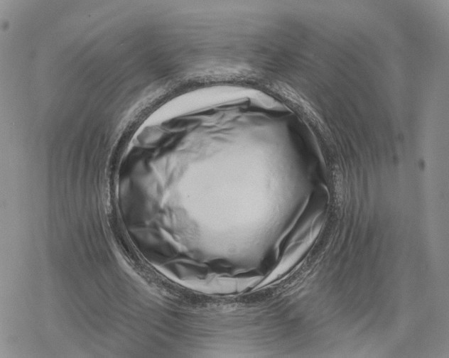 X0000078250582200611251306