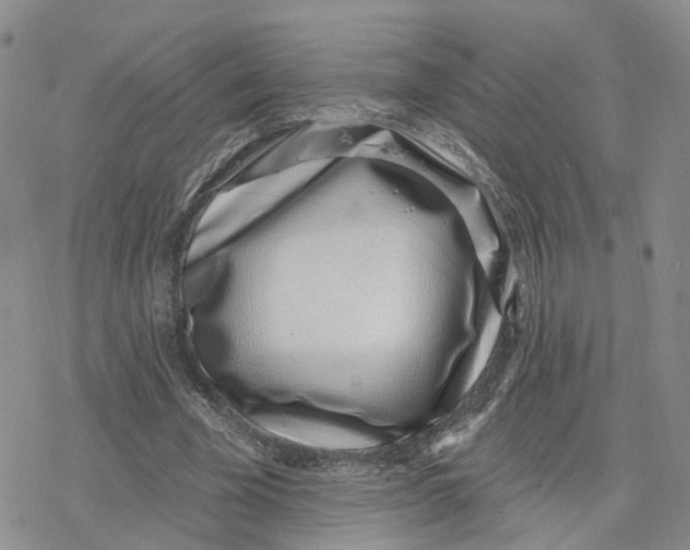 X0000078250585200611251306