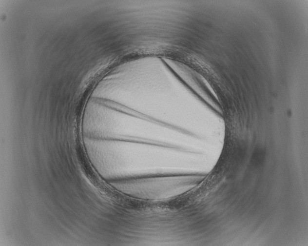 X0000078250586200611251306