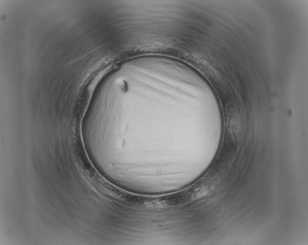 X0000078250591200611251306