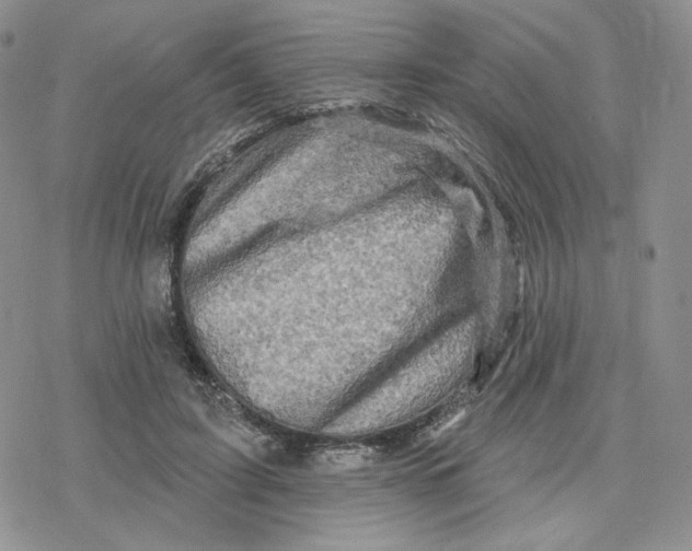X0000078250595200611251305
