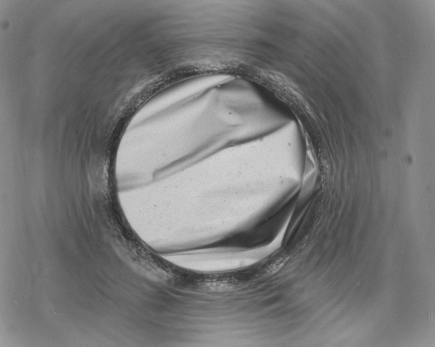 X0000078250596200611251305