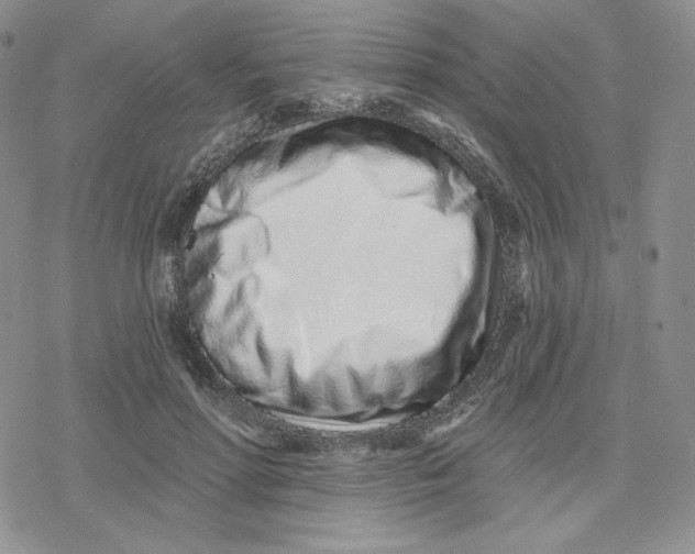 X0000078250598200611251305