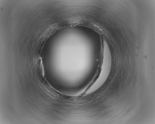 X0000078250601200611251305
