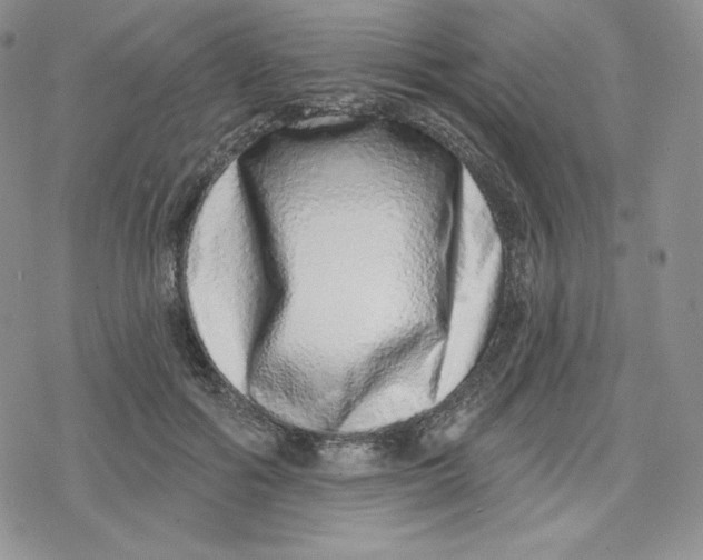 X0000078250602200611251305