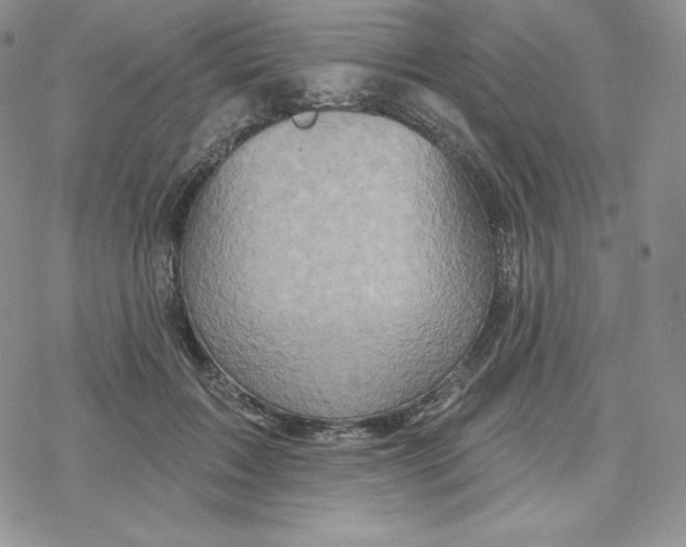 X0000078250603200611251305