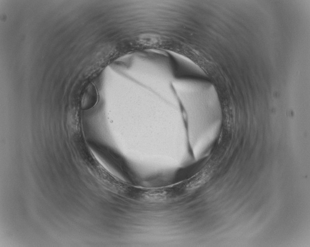 X0000078250606200611251305
