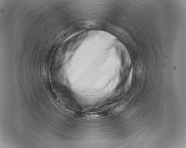 X0000078250607200611251305