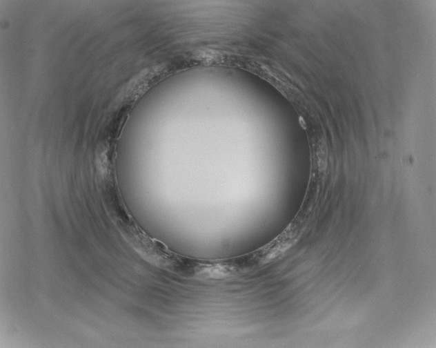 X0000078250611200611251305