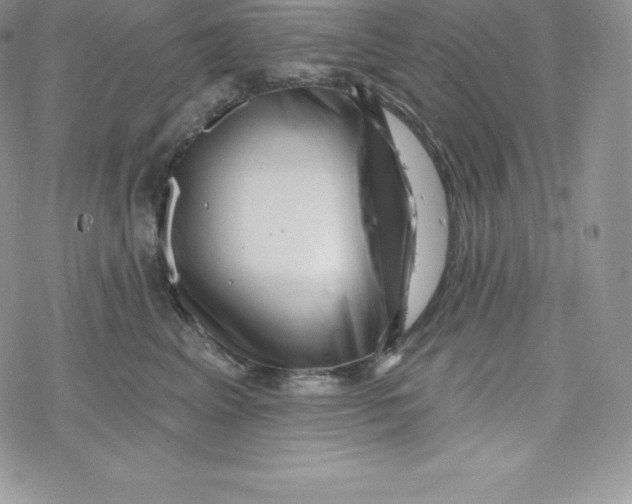 X0000078250617200611251305