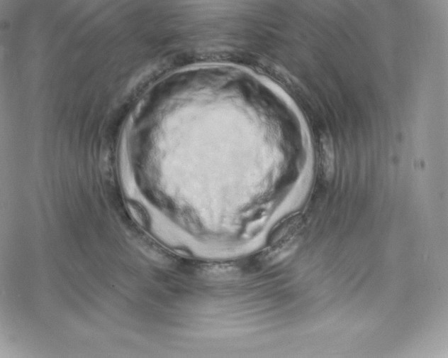 X0000078250619200611251305