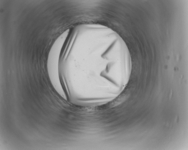 X0000078250624200611251305