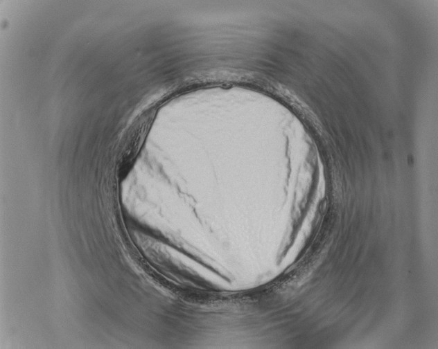X0000078250625200611251304