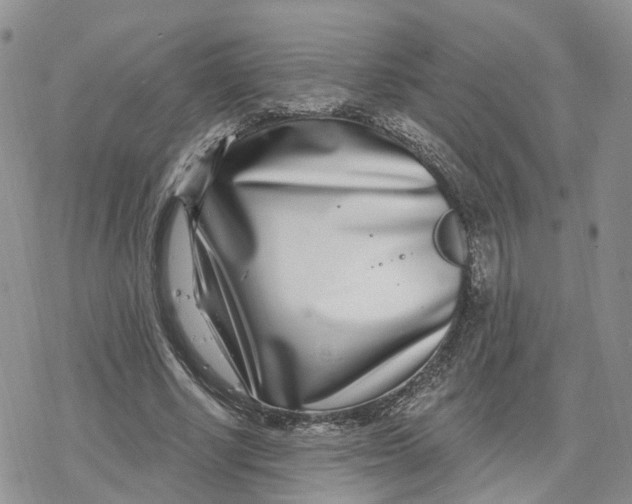 X0000078250634200611251304