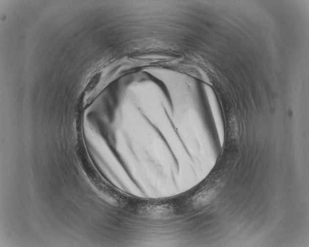 X0000078250638200611251304