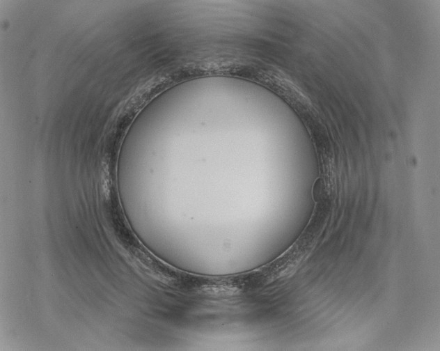 X0000078250644200611251305