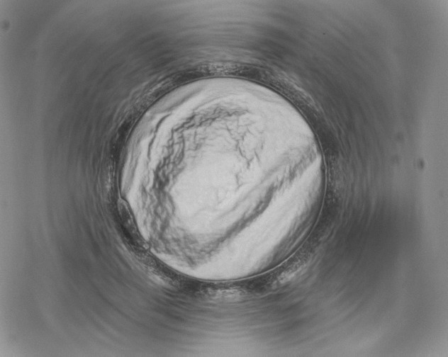 X0000078250645200611251305