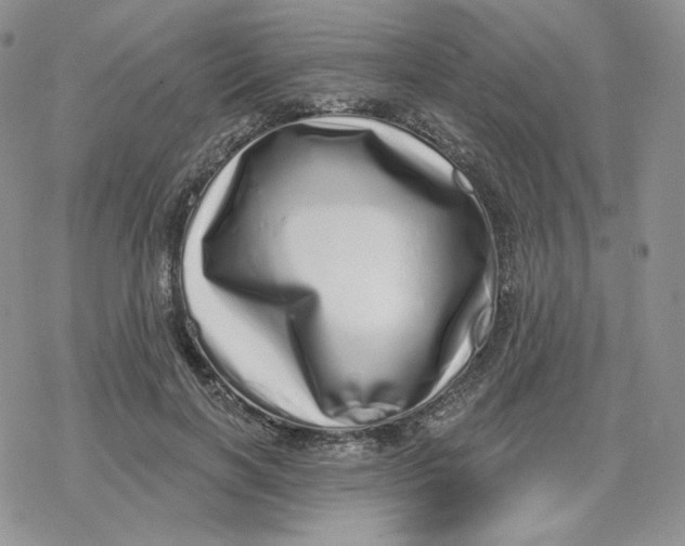 X0000078250646200611251305