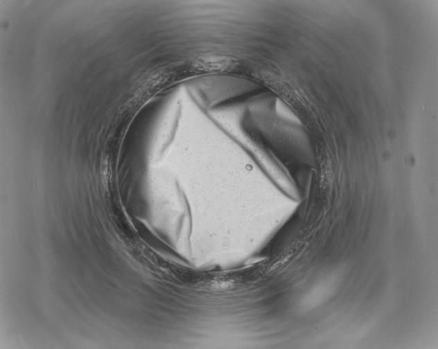 X0000078250647200611251305