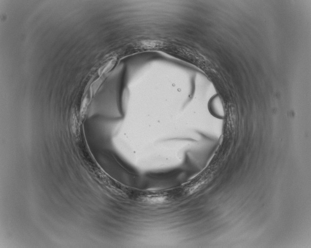 X0000078250651200611251305