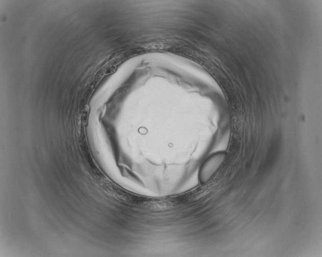 X0000078250652200611251305