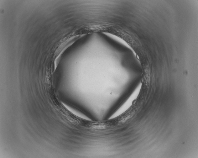 X0000078250653200611251305
