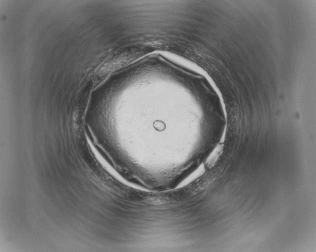 X0000078250654200611251305