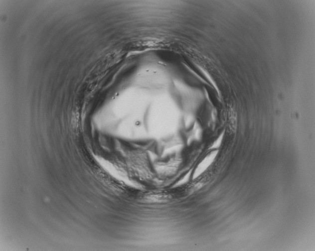X0000078250657200611251305