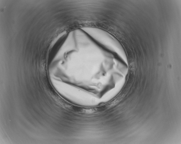 X0000078250662200611251305