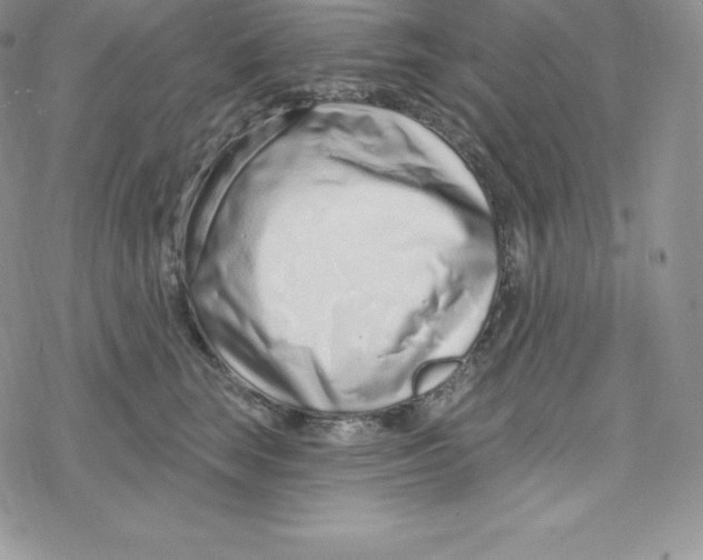 X0000078250663200611251305
