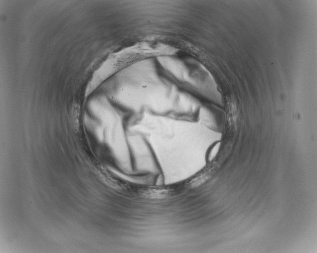X0000078250664200611251305