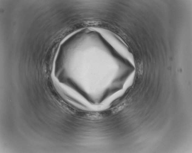 X0000078250666200611251305