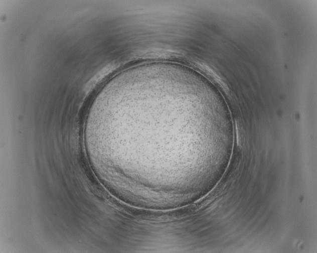 X0000078250675200611251304