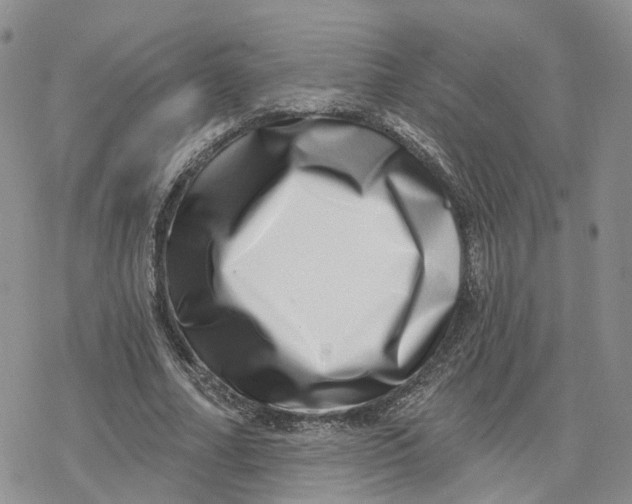 X0000078250682200611251304