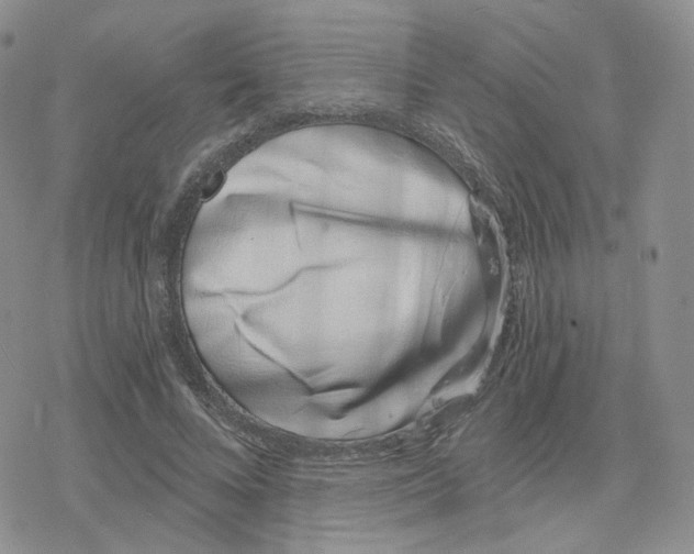 X0000078250688200611251304