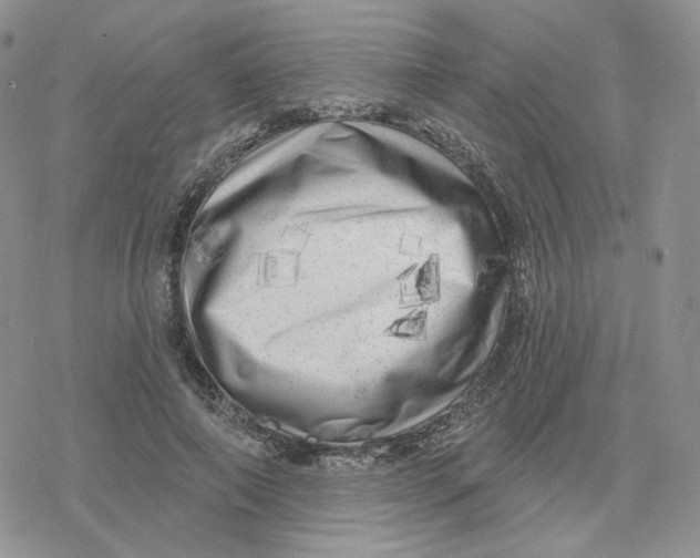 X0000078250690200611251304