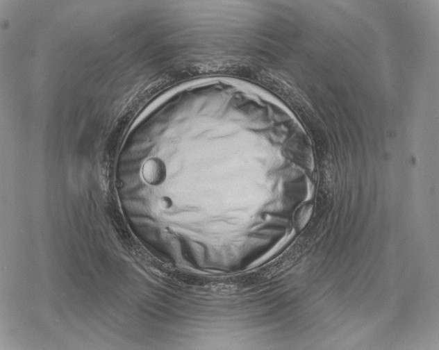 X0000078250691200611251304
