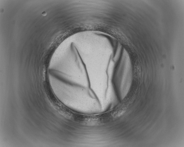 X0000078250694200611251304
