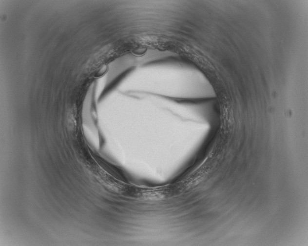 X0000078250702200611251304