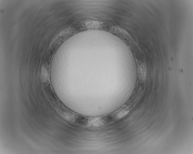 X0000078250705200611251304