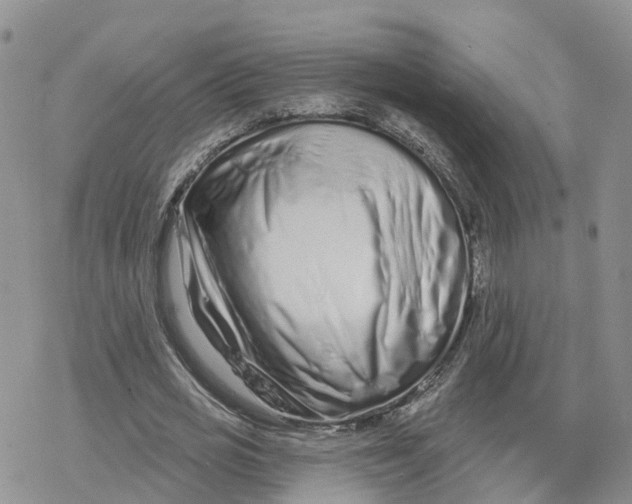 X0000078250725200611251303