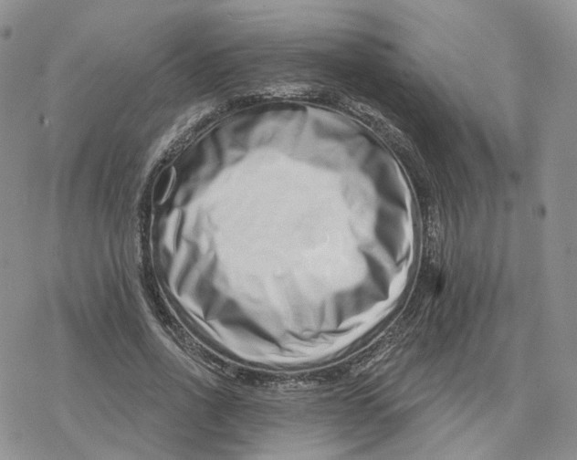 X0000078250734200611251303