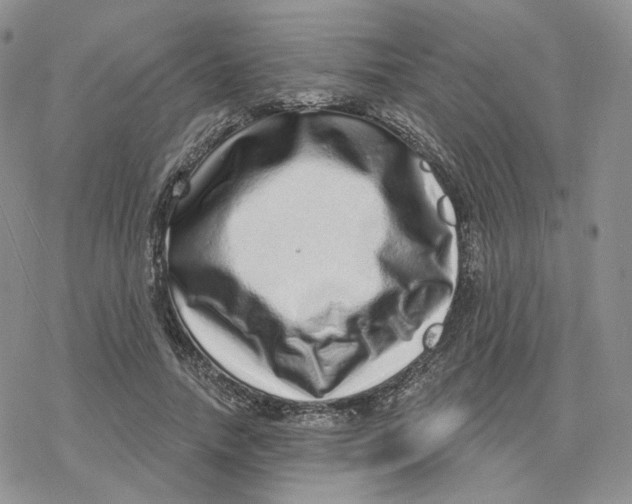 X0000078250738200611251303