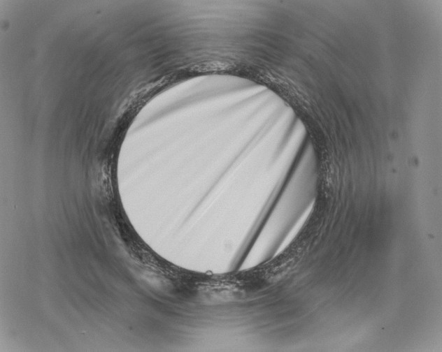 X0000078250743200611251303