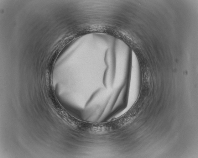 X0000078250744200611251303