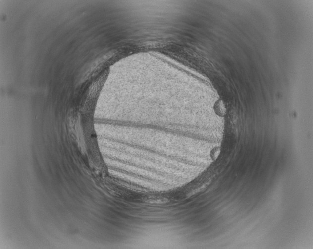 X0000078250746200611251303